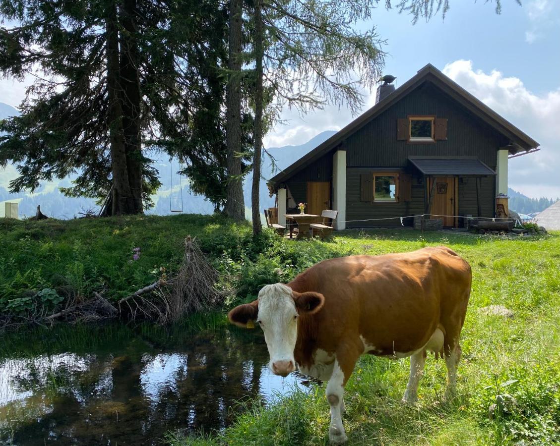 Vila Gemuetliche Huette In Den Bergen Sonnenalpe Nassfeld Exteriér fotografie