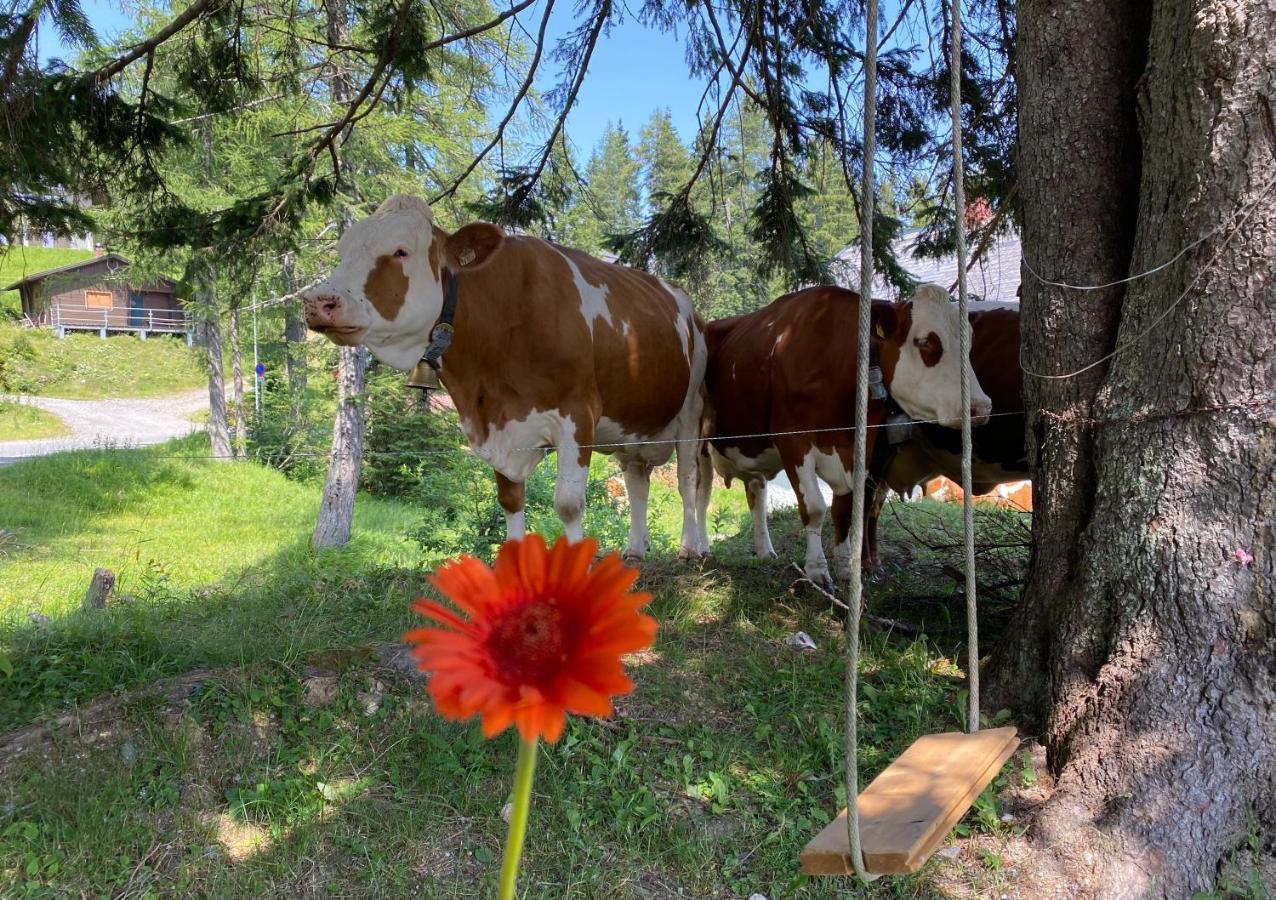 Vila Gemuetliche Huette In Den Bergen Sonnenalpe Nassfeld Exteriér fotografie