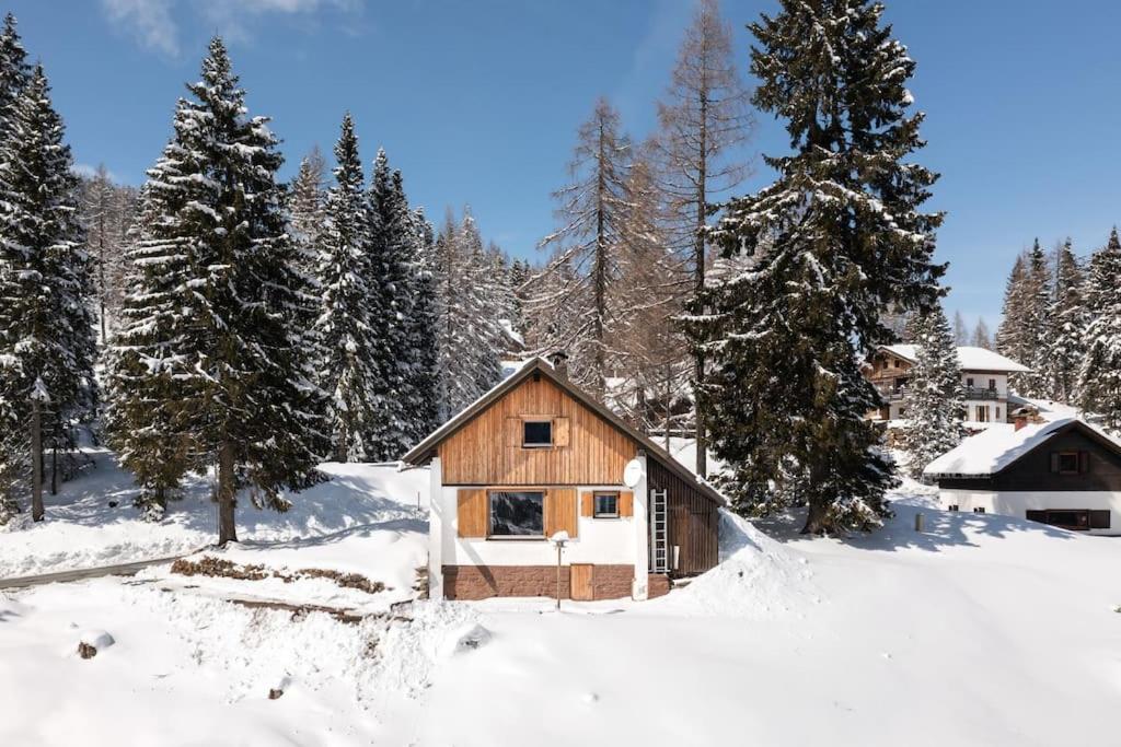 Vila Gemuetliche Huette In Den Bergen Sonnenalpe Nassfeld Exteriér fotografie