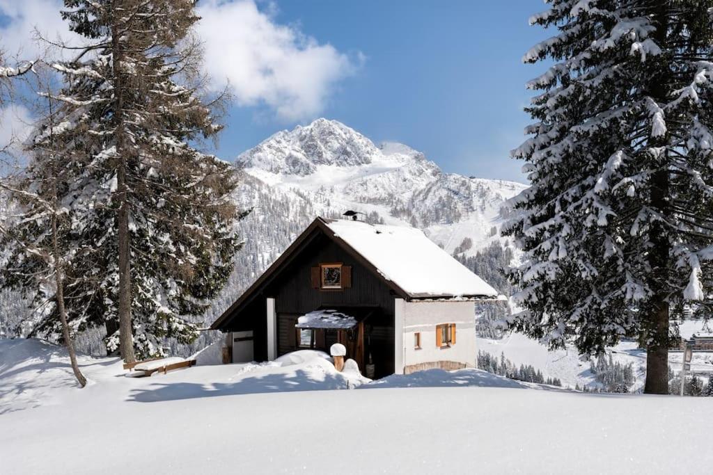 Vila Gemuetliche Huette In Den Bergen Sonnenalpe Nassfeld Exteriér fotografie