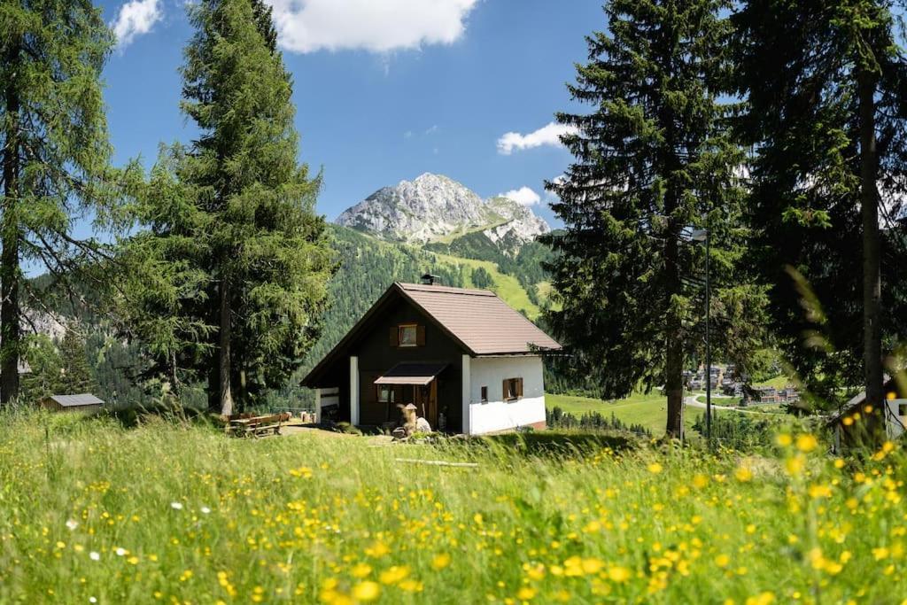 Vila Gemuetliche Huette In Den Bergen Sonnenalpe Nassfeld Exteriér fotografie